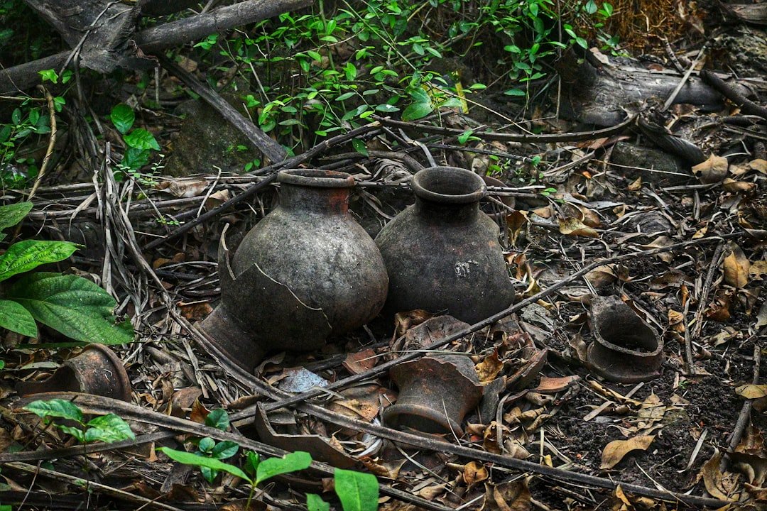 The Ultimate Guide to Choosing Burial Urns for Ashes - American Mortuary Coolers & Equipments The Ultimate Guide to Choosing Burial Urns for Ashes - American Mortuary Coolers & Equipments
